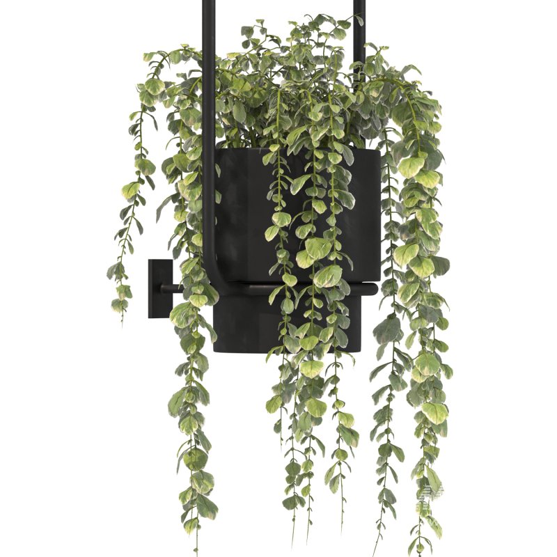 Metal Wall Mounted Planter - Image 5