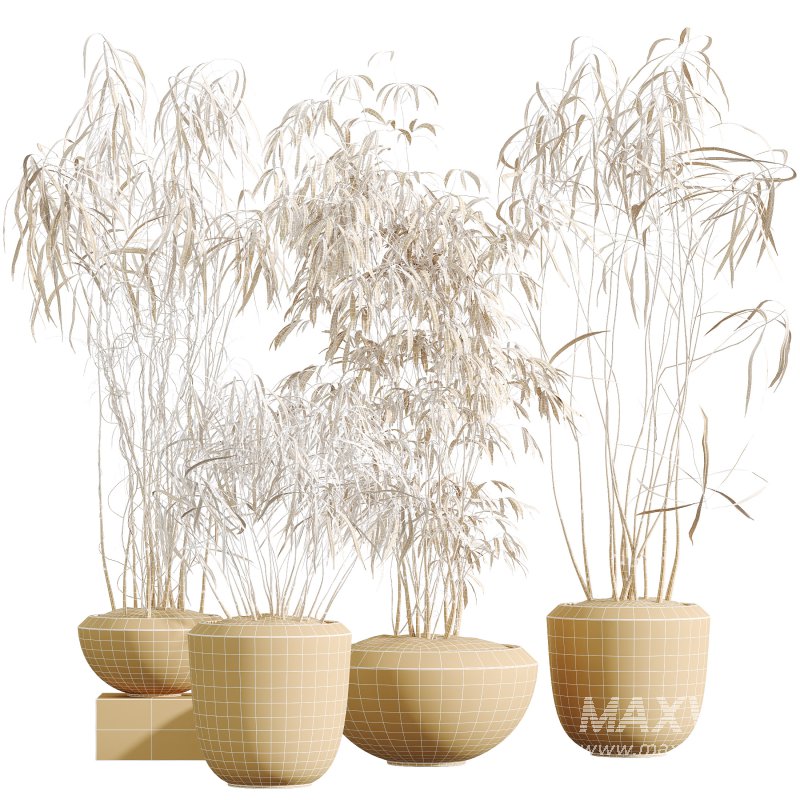 AV Indoor Plants Set 300 Japandi Decorative Minimalism Ficus Dracaena Marginata - Image 7