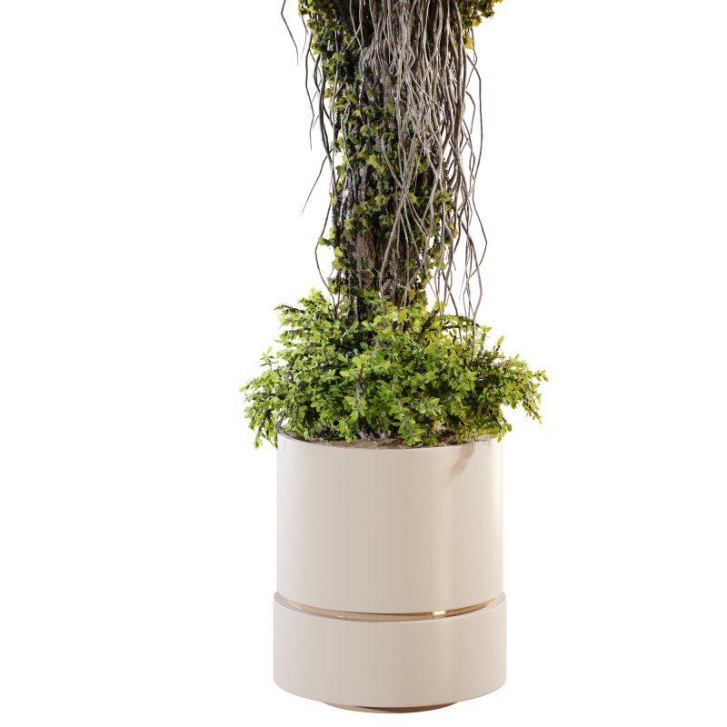 Ivy Branches in Cement Pot - Image 4