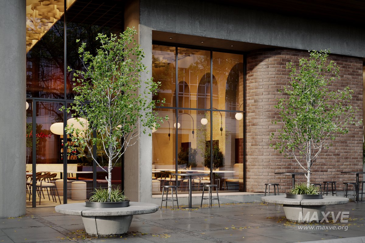 Coffee Shop 3D Model – Interior & Exterior | 3ds Max + Corona Renderer - Image 5