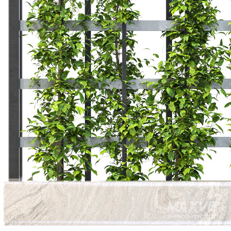 Vertical Garden Trellis 01 - Image 6