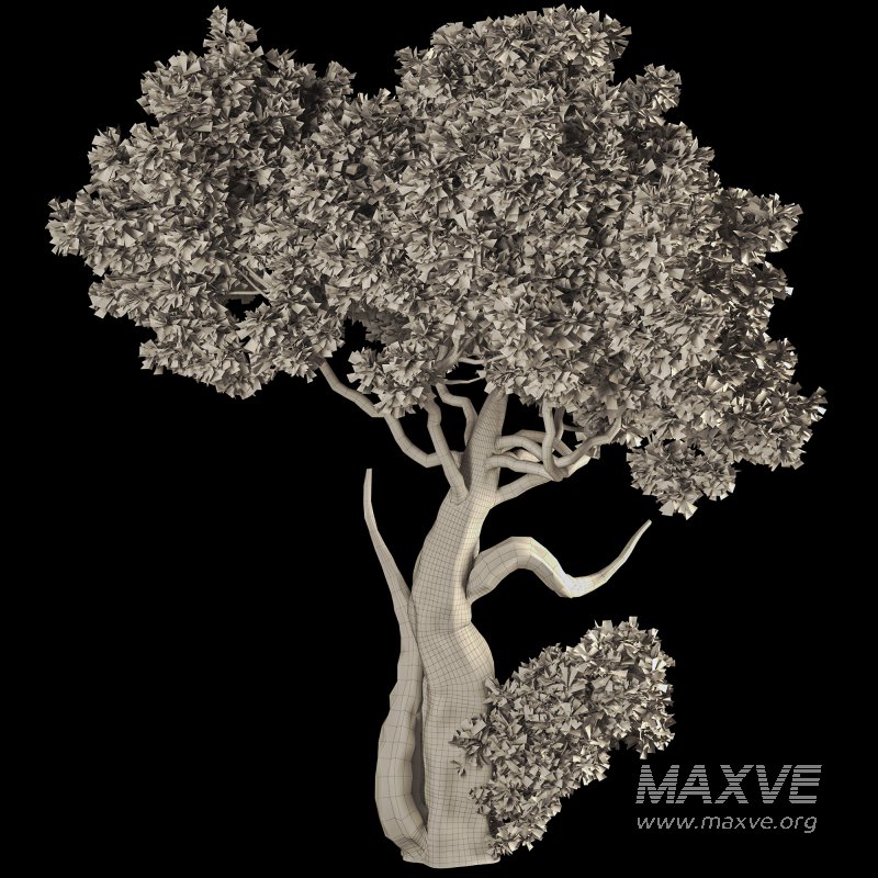 Jungle Tree and ivy plants 03 - Image 4