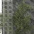 Indoor Garden with Glass Block Walls - Thumbnail 3