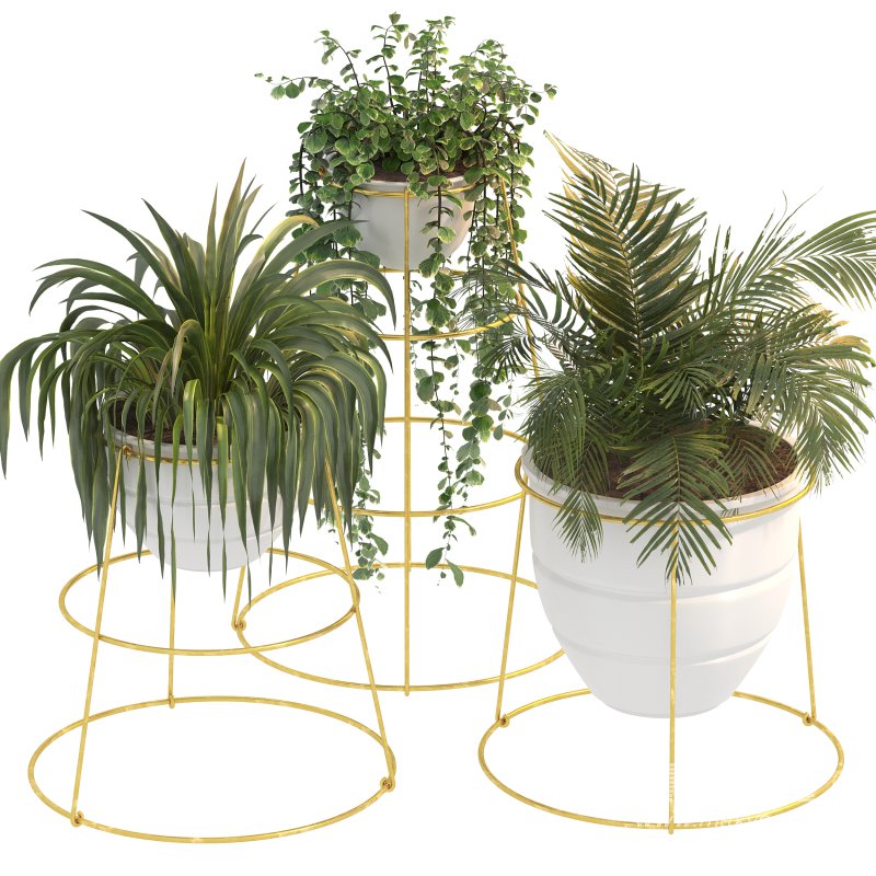 Golden Metal Standing Plant - Image 5