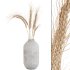 Pampas and Wheat Plant in Decorative Vase - Thumbnail 4