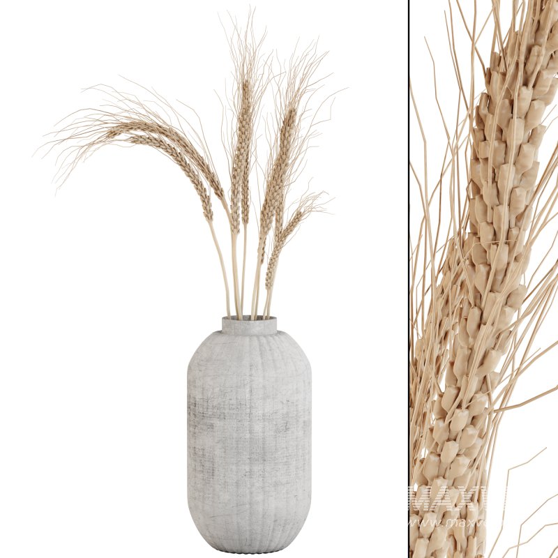 Pampas and Wheat Plant in Decorative Vase - Image 4