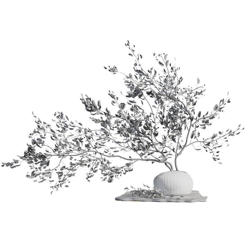 Bouquet Plant - Image 5