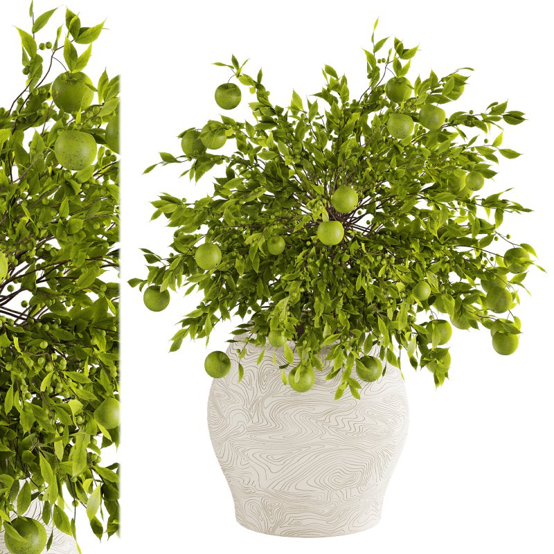 Apple Decoration Set - Image 3