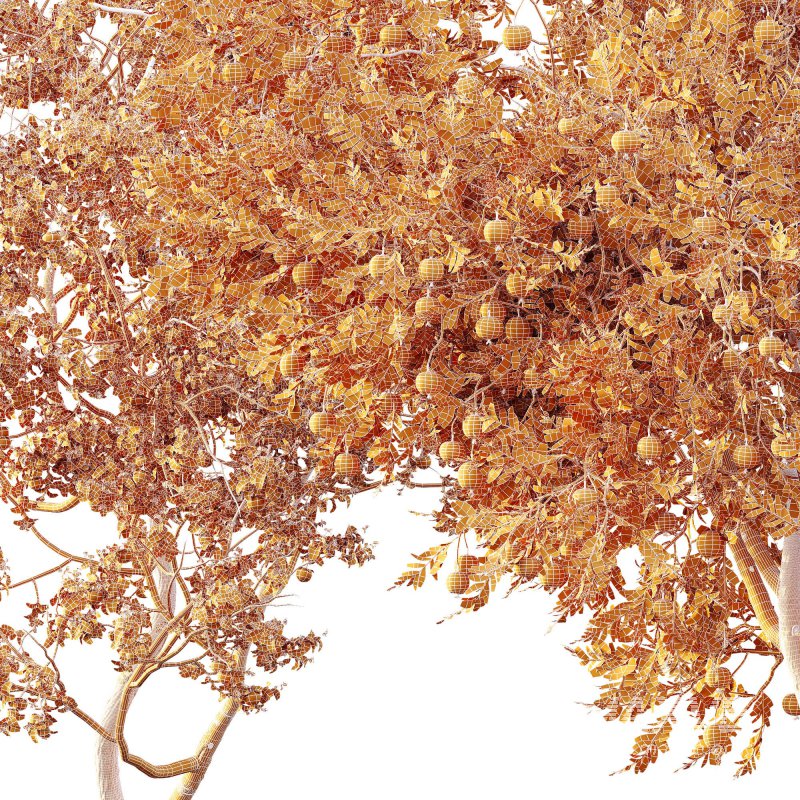 ntal and productive garden designs. - Image 17