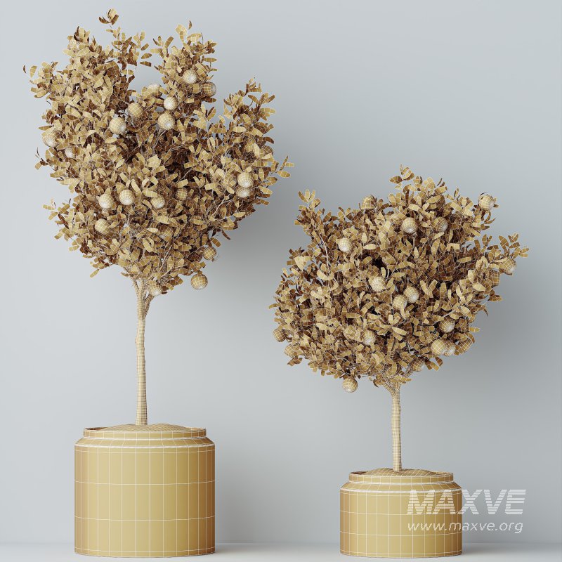 AV Indoor Plants Set 289 Fruit Orange Tree and Areca Palm and Banana Nicolai and Olive - Image 8