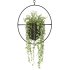 Metal Hanging Plants 01 - Thumbnail 5