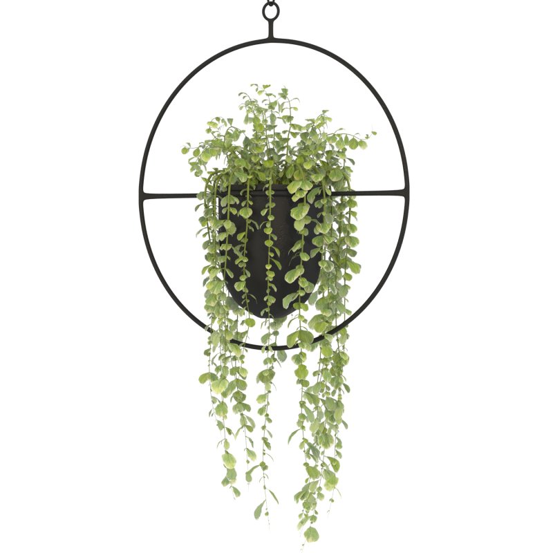 Metal Hanging Plants 01 - Image 5