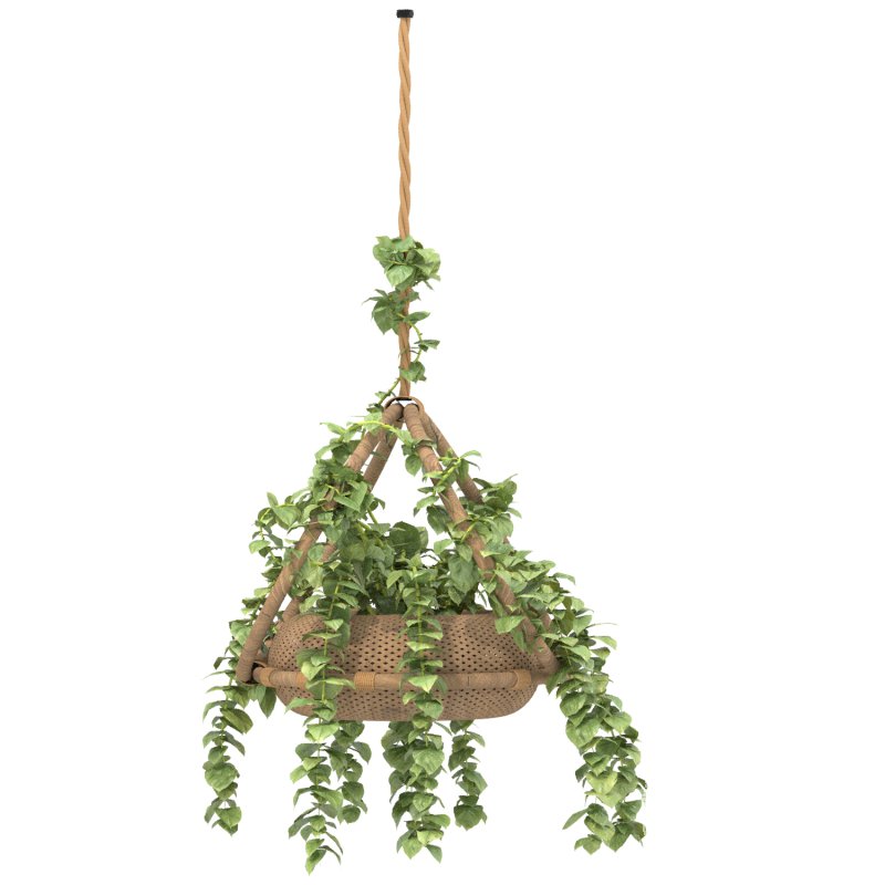 boho hanging plant 02 - Image 2