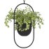 Metal Hanging Plants 01 - Thumbnail 4