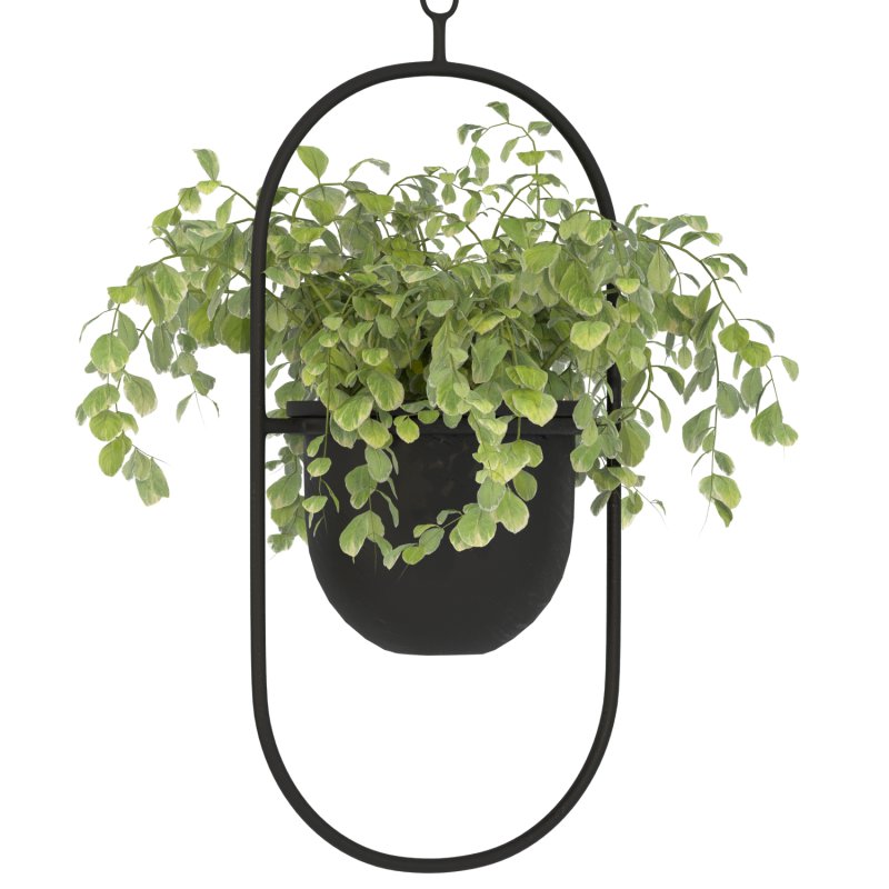 Metal Hanging Plants 01 - Image 4