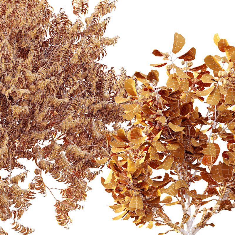 ntal uses. - Image 12