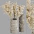 Minimal Pampas Bouquet in Pottery vase - Thumbnail 4
