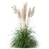 ntal grasses: Cortaderia Selloana (Pampas Grass) and Nassella Tenuissima (Mexican Feather Grass). With their graceful, airy plumes and gently arched green blades, these models are ideal for naturalistic landscapes, boho gardens, wild gardens, or accent planting. - Thumbnail 6
