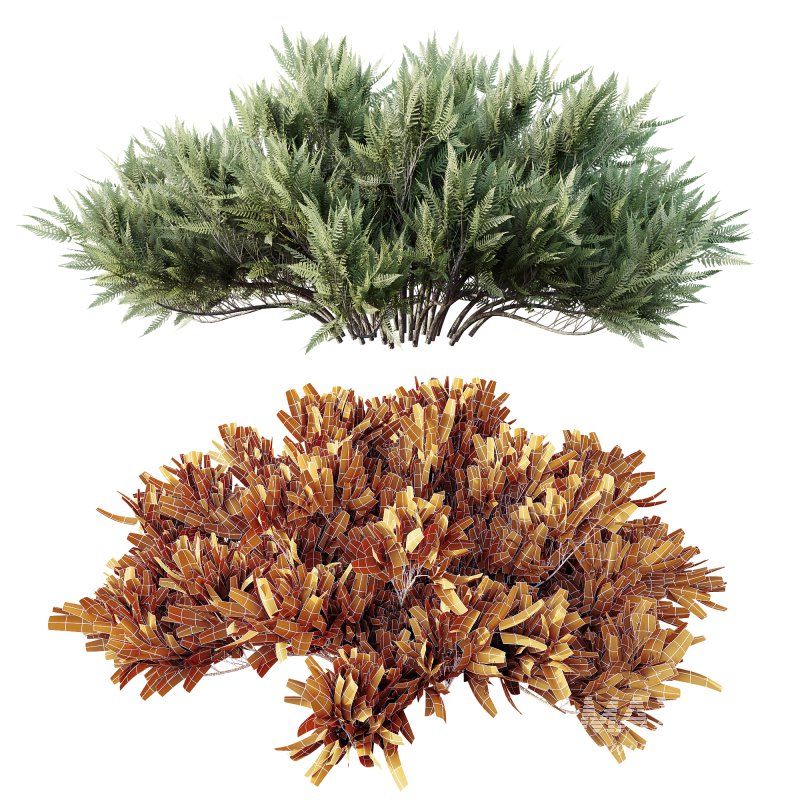 AV Plant Blue Sargent Juniper Parsoni Gallon Juniperus Sabina Chinensis - Image 3