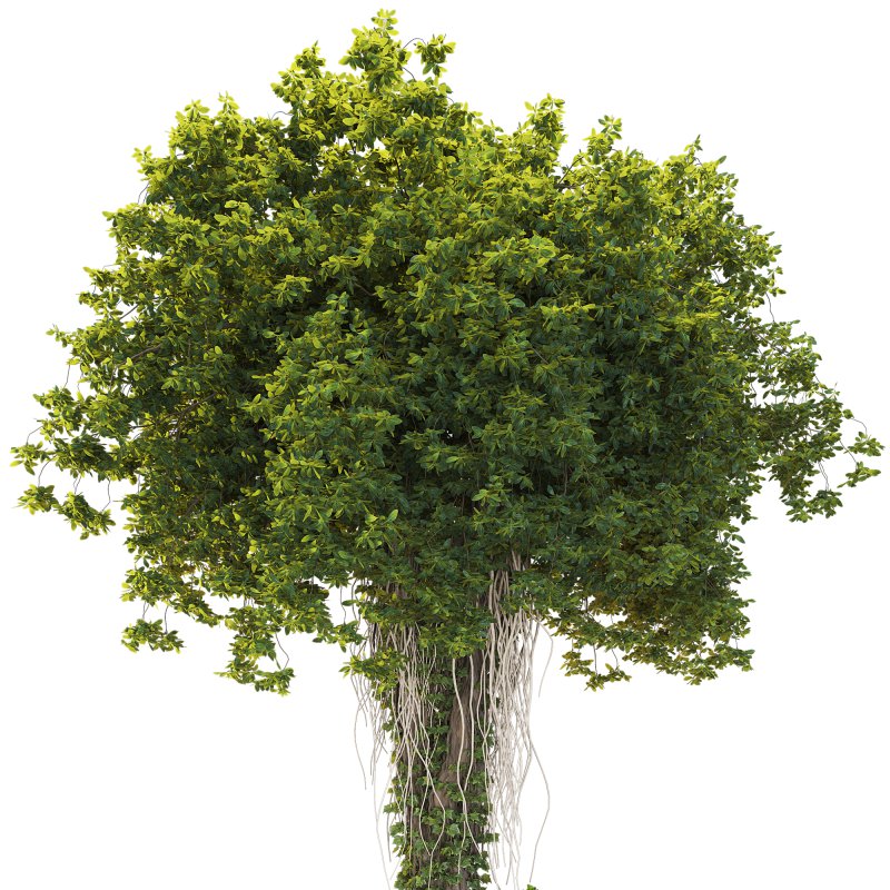 Decorative Indoor Plant and and Ivy Branches in Pot 02 - Image 4