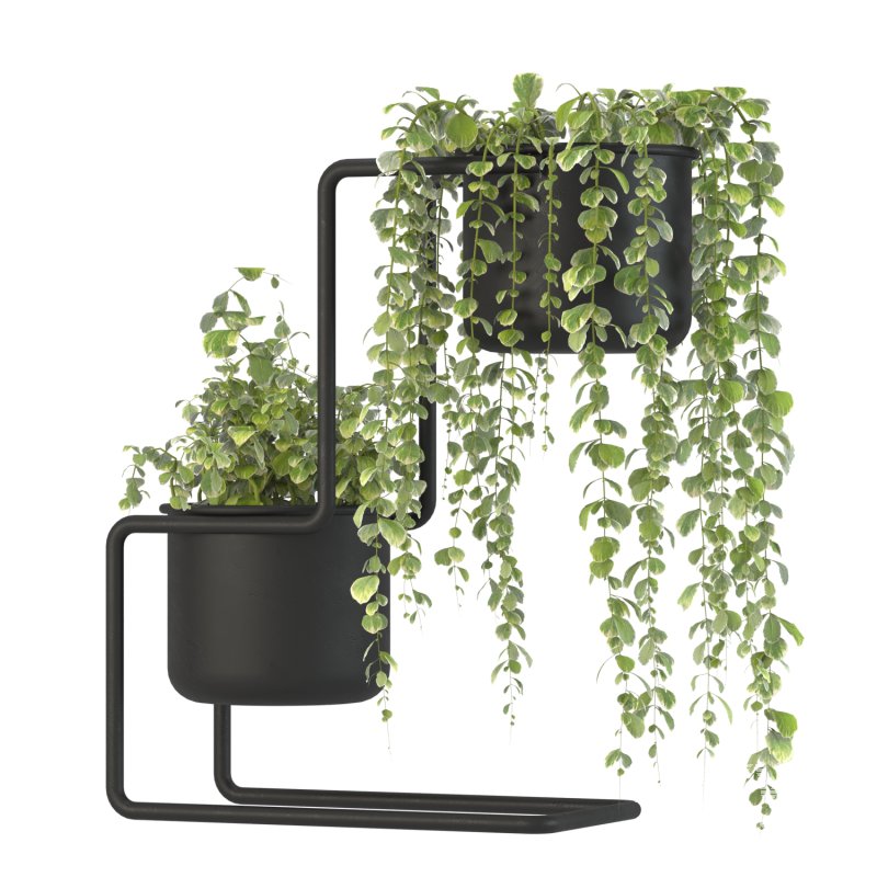 Plant Set 04 - Image 6