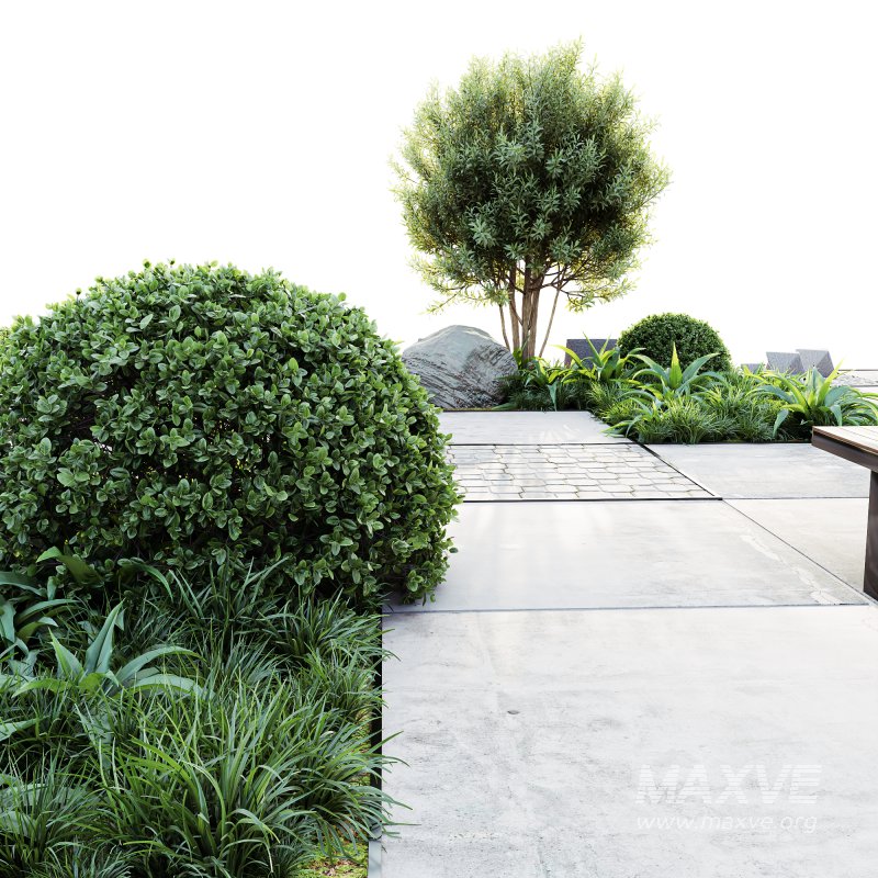 ntal grasses, stone accents, and concrete tiles arranged in a harmonious architectural design. The layout captures both natural beauty and structured minimalism, making it perfect for contemporary gardens, courtyards, and high-end outdoor visualizations. - Image 2