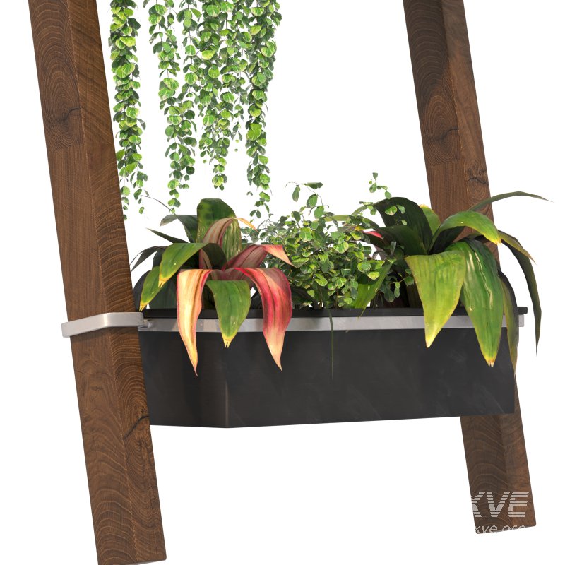 Plant Set 05 - Image 5