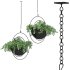 Metal Hanging Plants 03 - Thumbnail 3