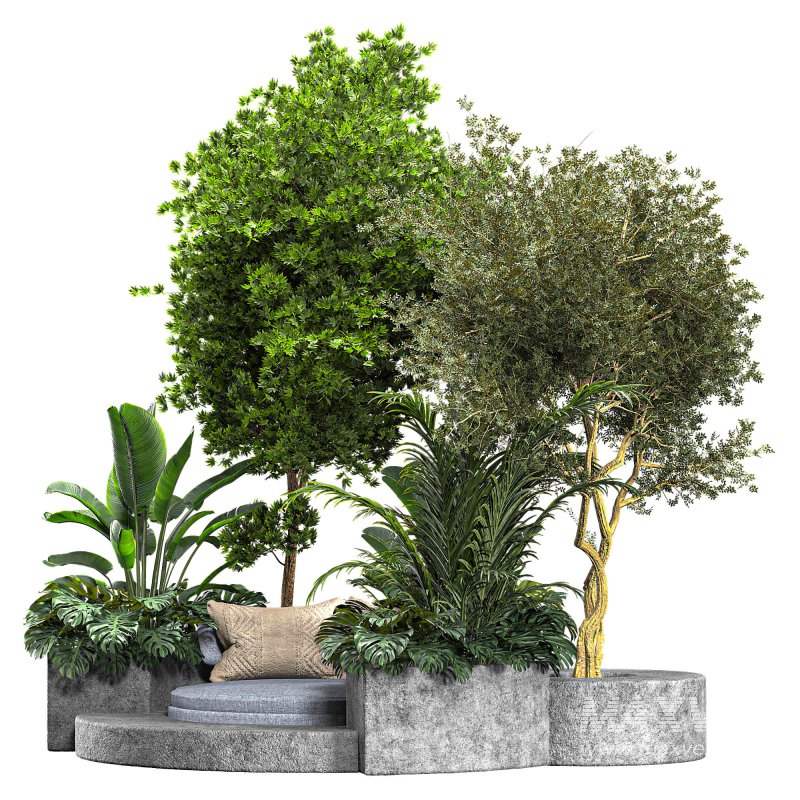 Outdoor plants set 02 - Image 3