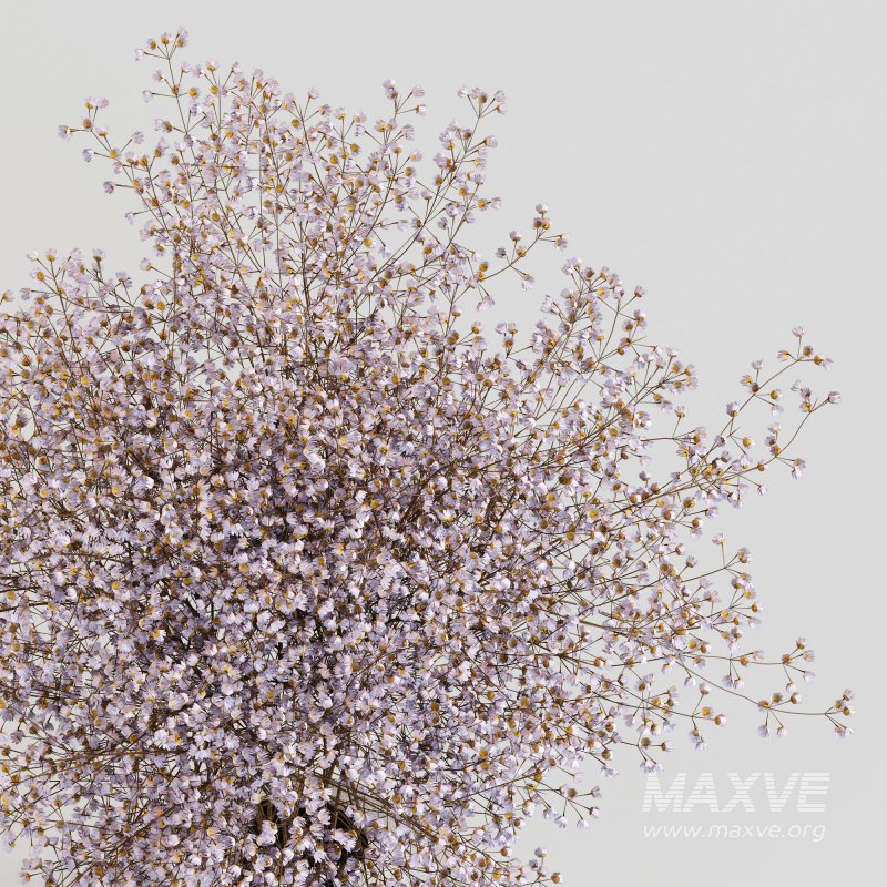 Minimal Bloom Gypsophila Arrangement - Image 5