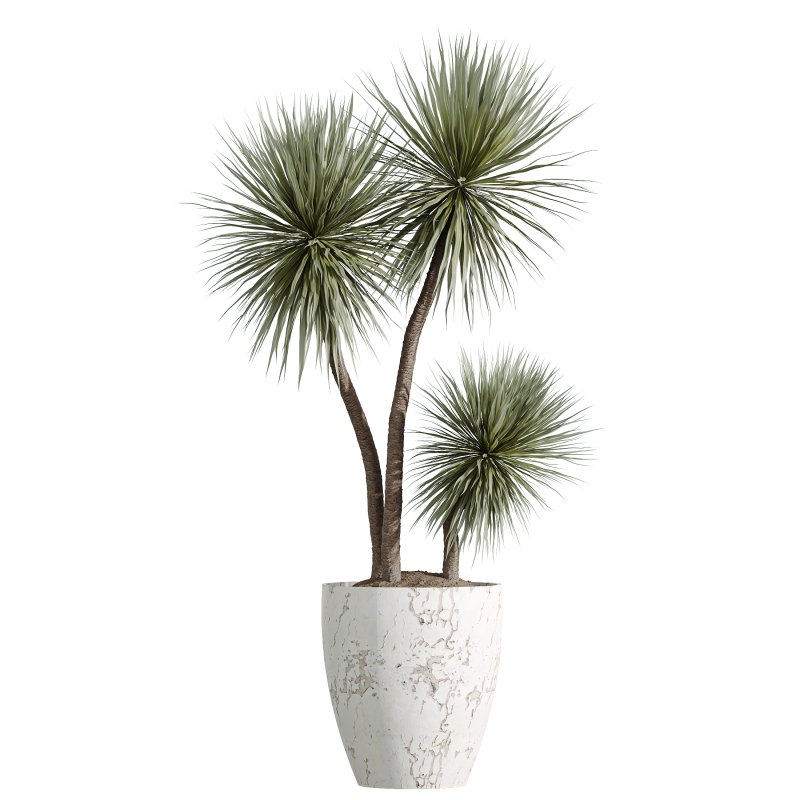 ntal foliage. Together, these plants form a versatile collection that balances bold textures with refined natural beauty. Presented in handcrafted stone-textured concrete planters, this set embodies sophistication and realism for architectural visualization. - Image 3