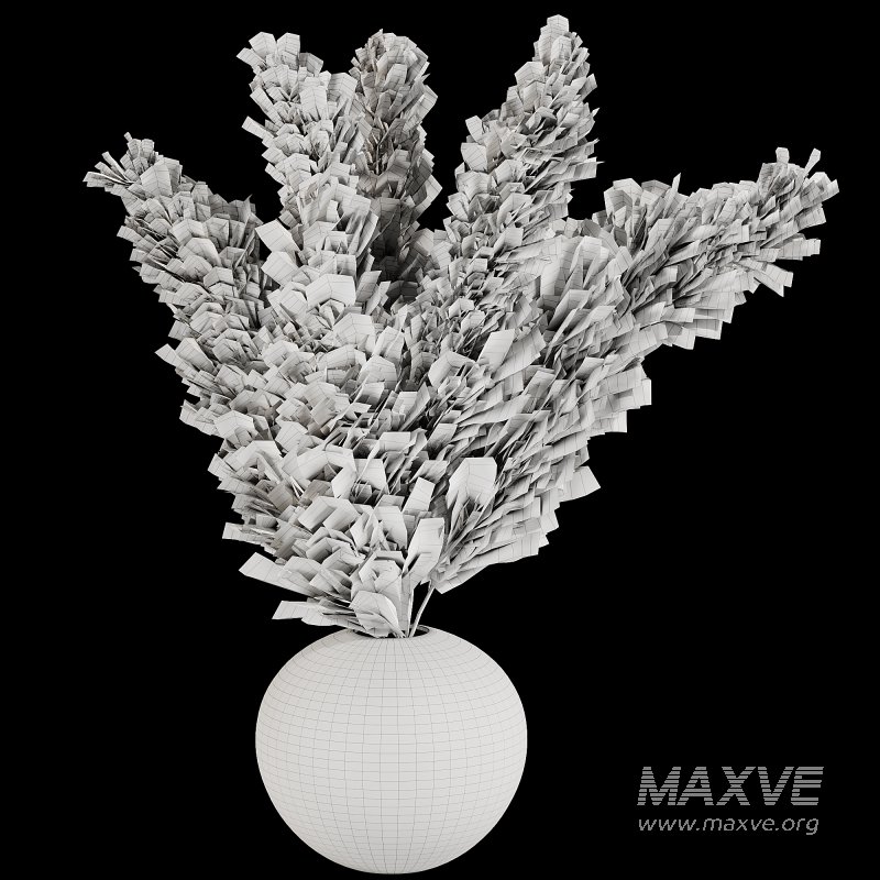 Pampas Plants in White Vase - Image 3