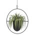 Metal Hanging Plants 02 - Thumbnail 4