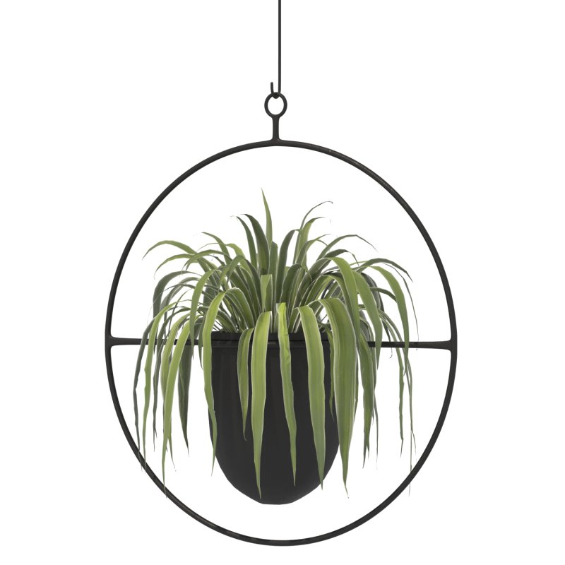 Metal Hanging Plants 02 - Image 4