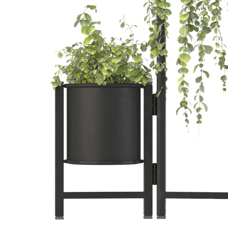 Plant Set 03 - Image 3