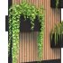 Floating Greenery - Thumbnail 6
