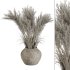 Minimal Pampas Bouquet in Pottery Vase 02 - Thumbnail 1