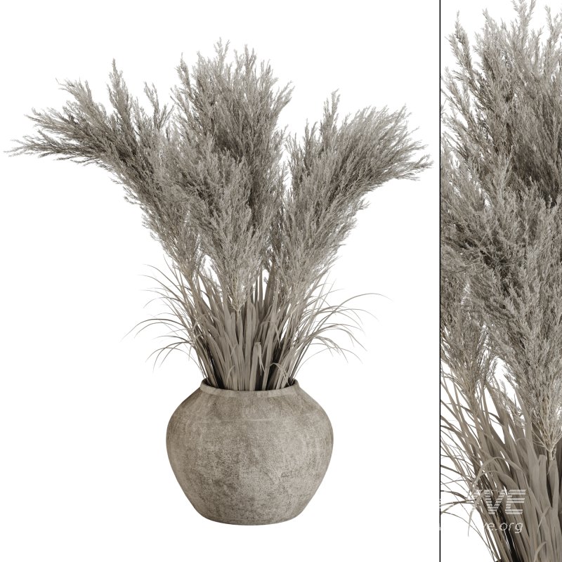 Minimal Pampas Bouquet in Pottery Vase 02 - Image 1