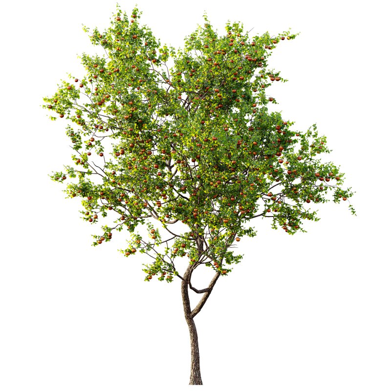 ntal and productive garden designs. - Image 4