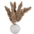 Pampas Plants in White Vase - Thumbnail 1