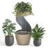 Indoor Plant and Fountains - Thumbnail 3