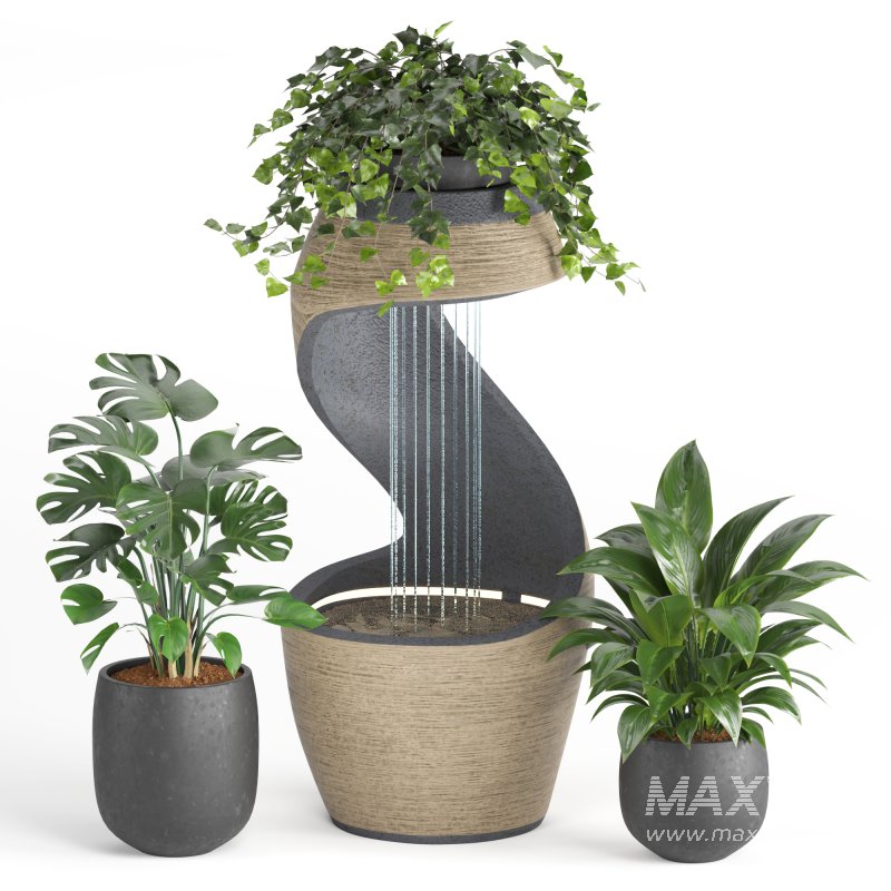 Indoor Plant and Fountains - Image 3
