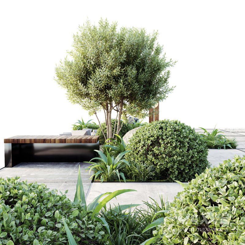 ntal grasses, stone accents, and concrete tiles arranged in a harmonious architectural design. The layout captures both natural beauty and structured minimalism, making it perfect for contemporary gardens, courtyards, and high-end outdoor visualizations. - Image 1