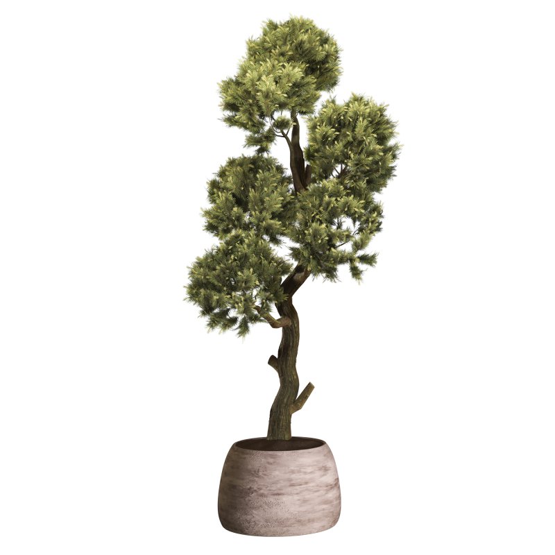 Topiary Ball in Pot Collection 012 - Image 4