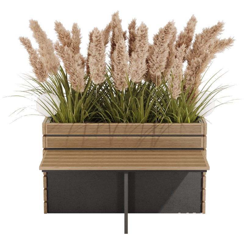 Outdoor Pampas And Grass Plants Set - Image 3