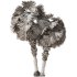Palm tree Set33 - Thumbnail 6