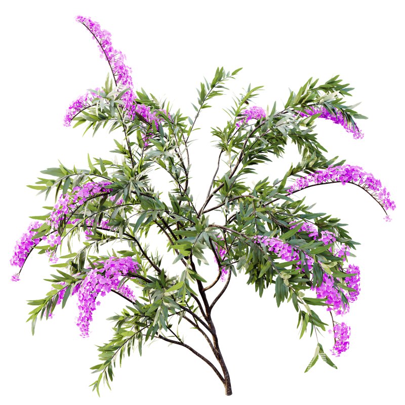 ntal garden design. - Image 1