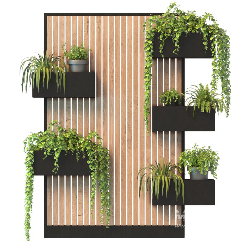 Floating Greenery - Image 2