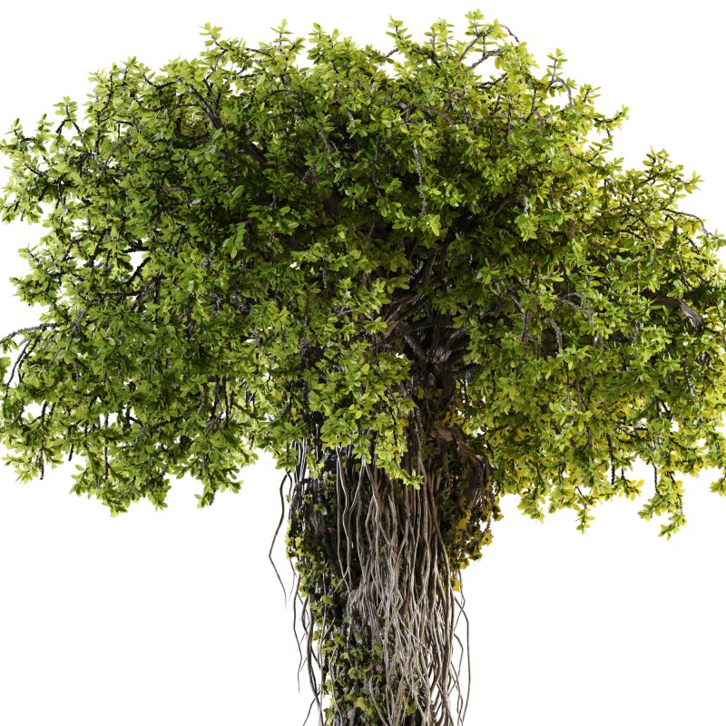 Ivy Branches in Cement Pot - Image 3