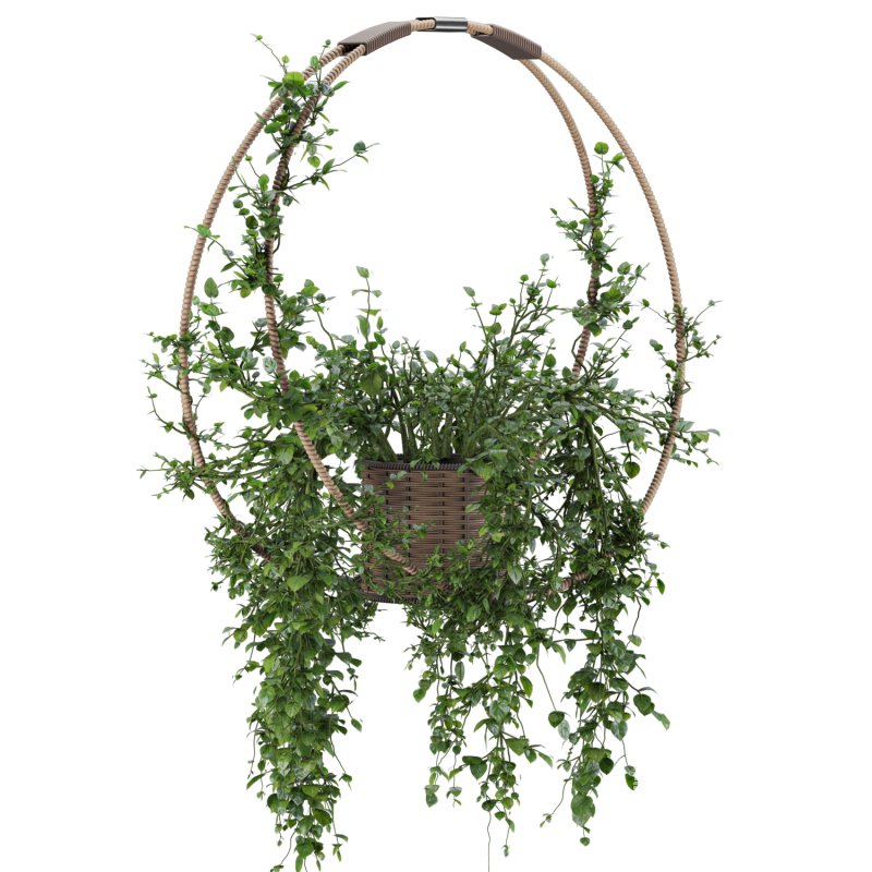 Hanging Wicker Pot - Image 3